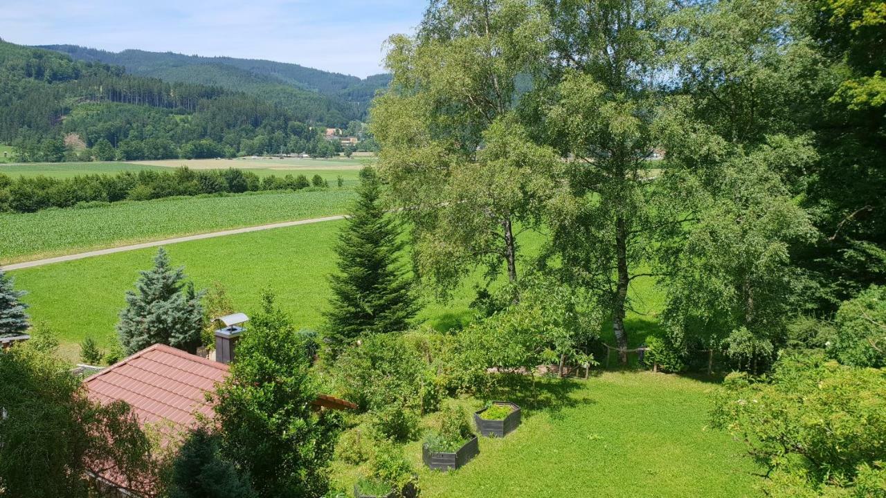 Silberkoenig Schwarzwald Hotel & Restaurant Ringhotel Gutach im Breisgau Екстер'єр фото