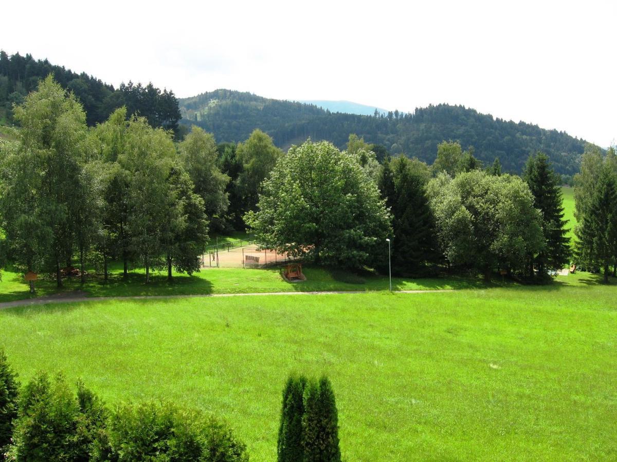 Silberkoenig Schwarzwald Hotel & Restaurant Ringhotel Gutach im Breisgau Екстер'єр фото